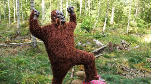 The Skåne Yeti still