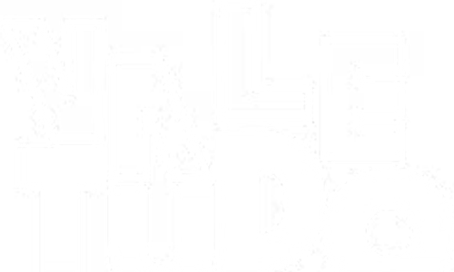 Vale Tudo - Logo 2