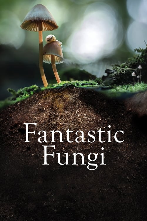 Largescale poster for Fantastic Fungi