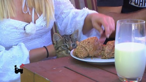 Image de l'épisode 15