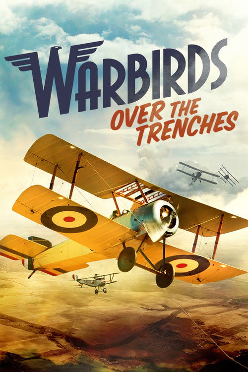 Warbirds Over the Trenches (2013) poster