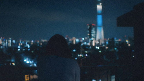 Marriage Hunting Beauty