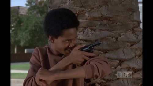 Image de l'épisode Épisode 15