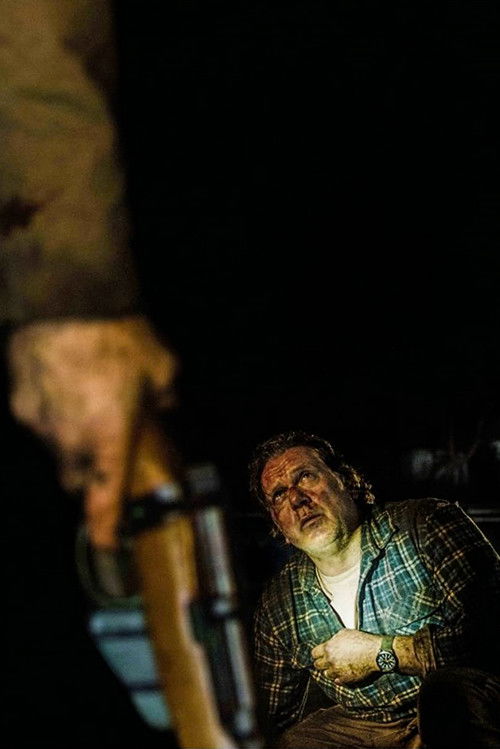 Coming Home in the Dark poster