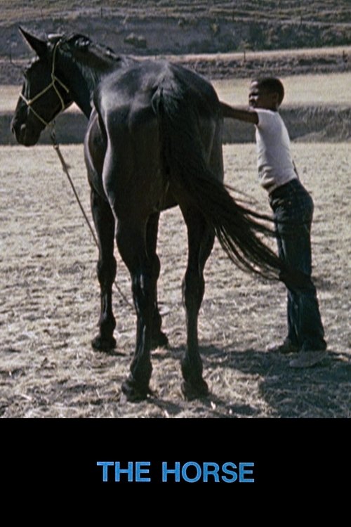 The Horse movie poster player