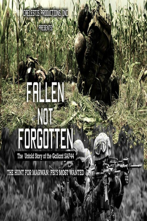 Pôster oficial de Fallen Not Forgotten (2017) - Documentário