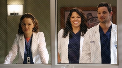 Grey’s Anatomy: 9×11