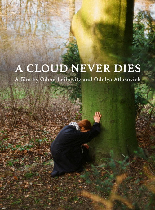 A Cloud Never Dies