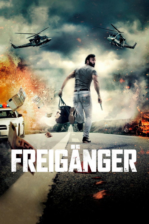 Freigänger movie poster player