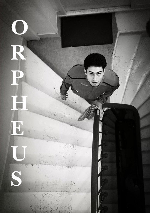 Orpheus