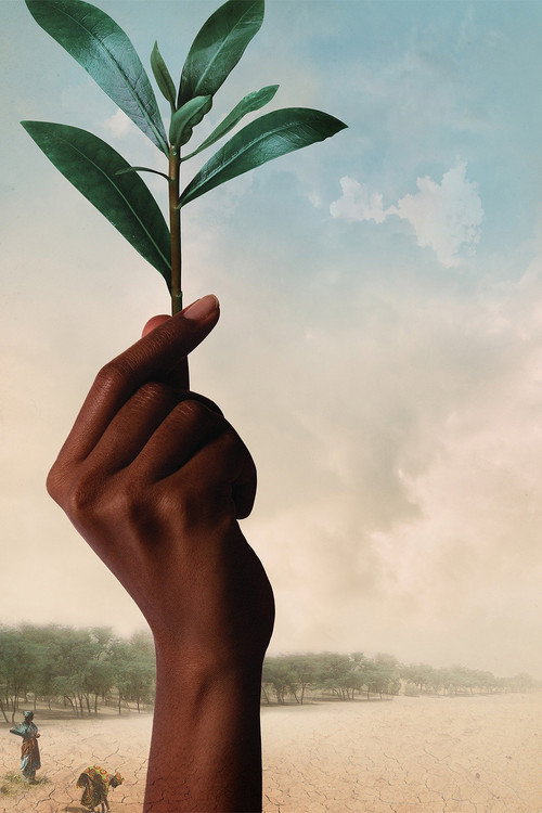 Póster oficial de The Great Green Wall (2020) - Documentary