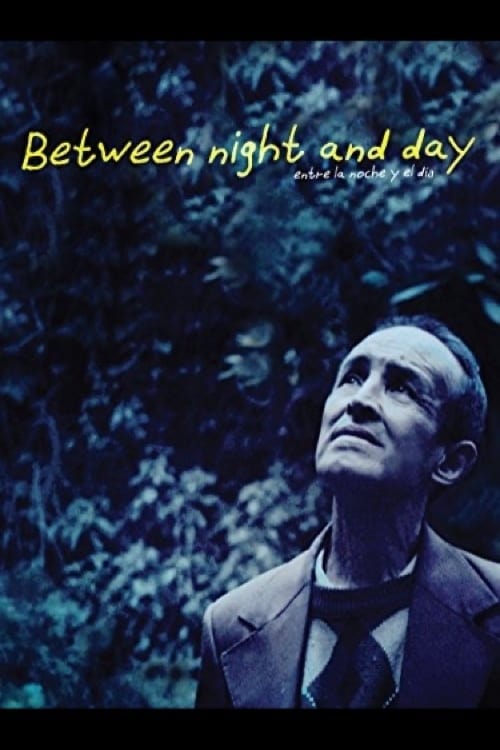 Between Night and Day (2013)