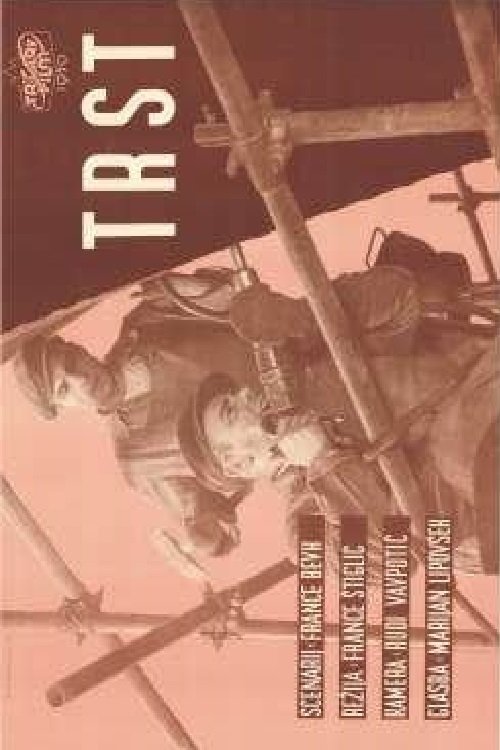 Trst movie poster player