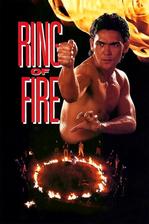 Poster do filme Ringue de Fogo