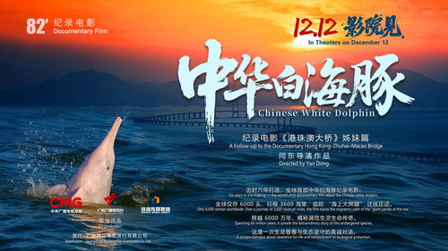 中华白海豚 — Backdrops 1