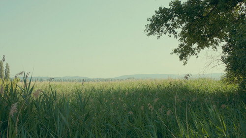 Die Wichtigkeit der Freundschaft