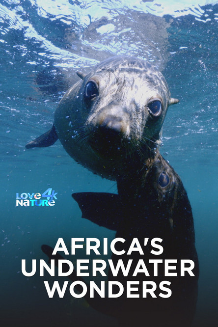 Escena 6 de Africa's Underwater Wonders