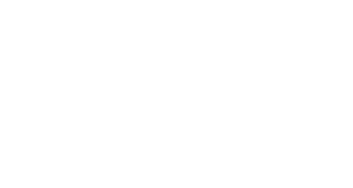 The Fast and the Furious