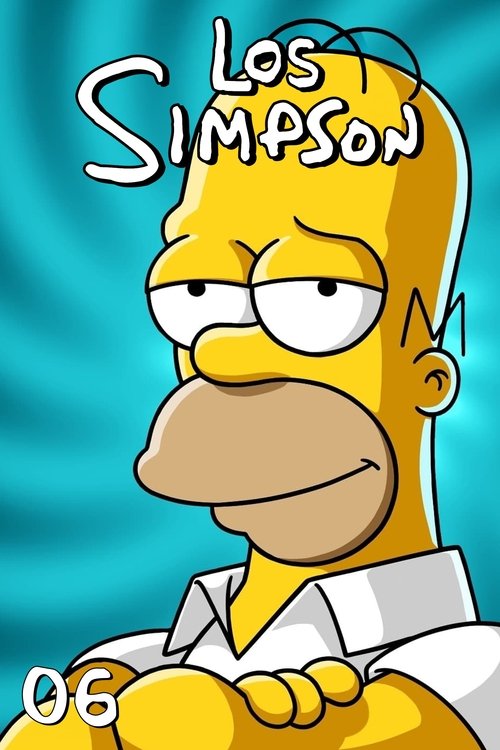 Poster de la Temporada 6 en la serie Los Simpson