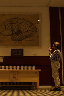 Anatomy of Hypomania poster