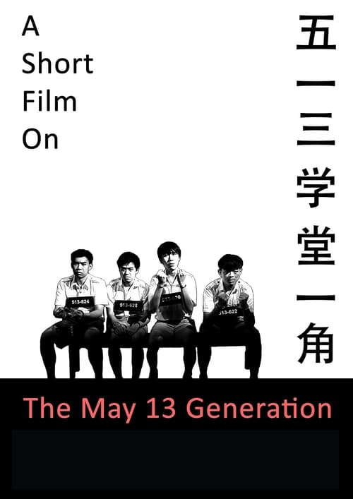 A Short Film on the May 13 Generation (2014)