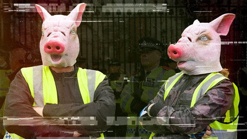 The Decade the Rich Won - Series 1 Backdrop Blur