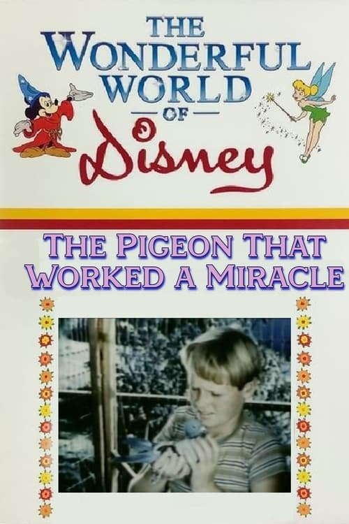 The Pigeon That Worked a Miracle (1958) poster