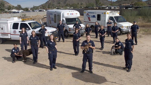 Animal Cops: Phoenix Bild 3