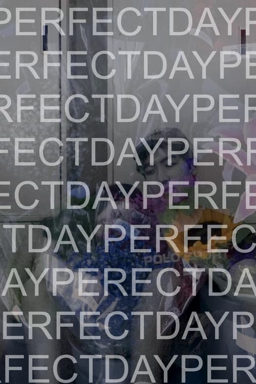 Perfect Day (2024) poster