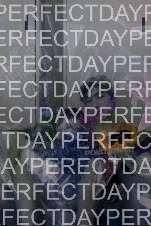 Poster Perfect Day 