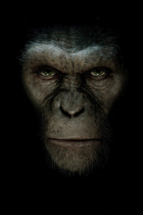 Pòster de El planeta dels simis (L'origen) - Col·lecció