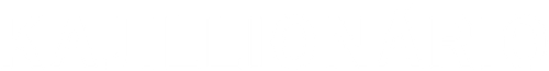 Falsos Milionários - Logo 4