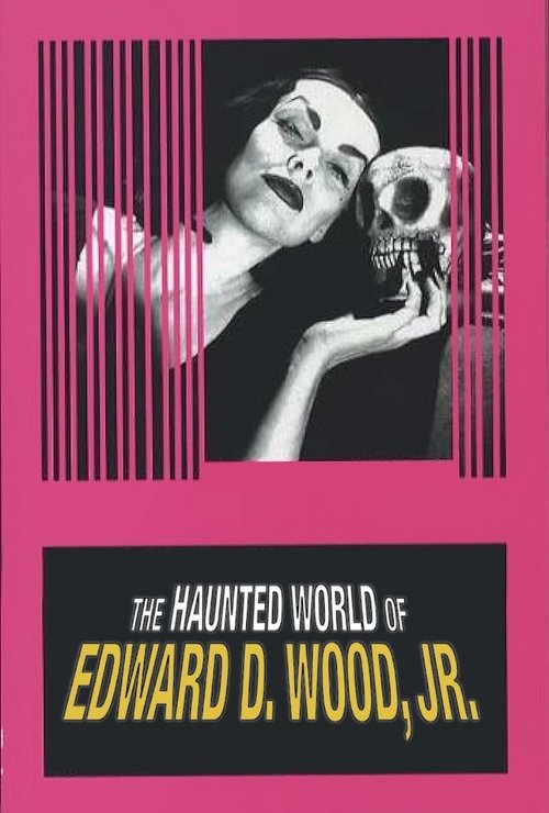 Poster 3