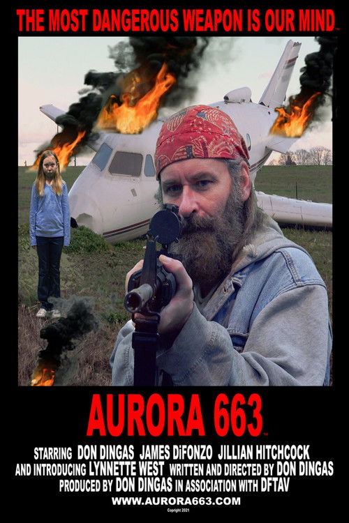 AURORA 663 poster
