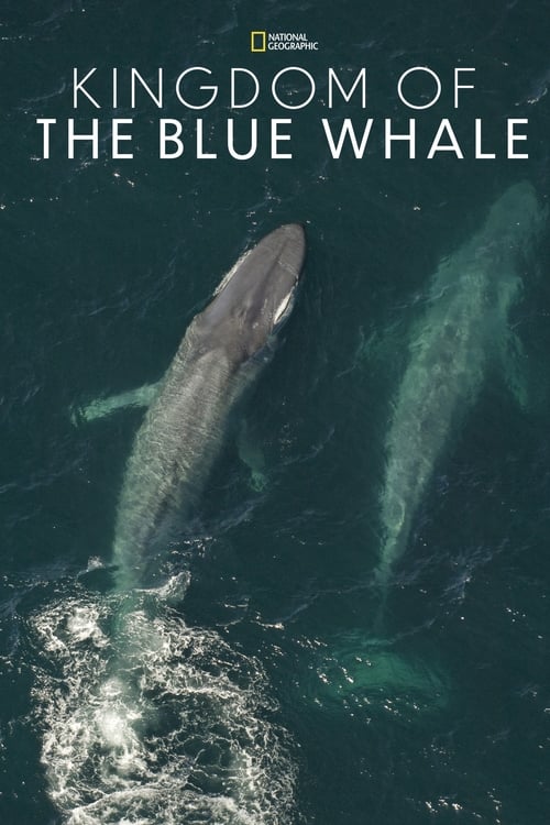 Kingdom of the Blue Whale poster