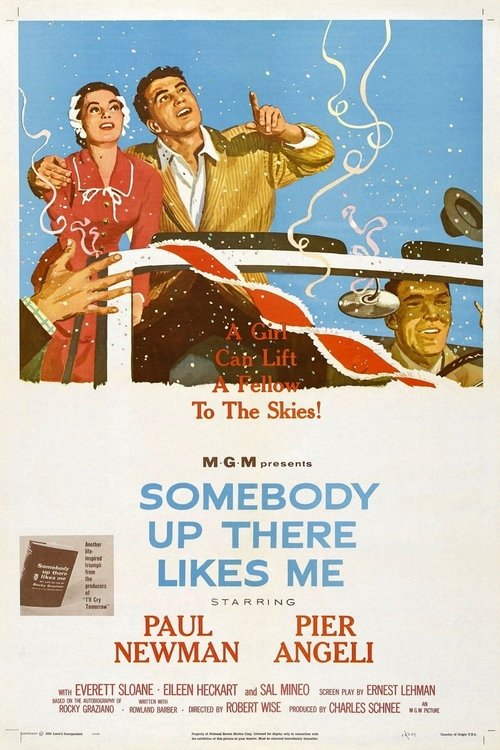 Poster 13
