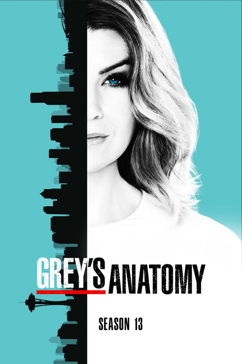 Poster Anatomi Grey Season 13