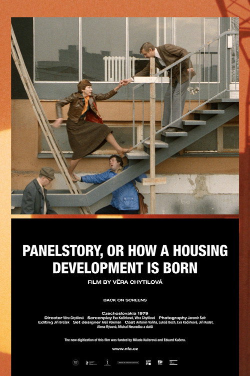 Panelstory or Birth of a Community