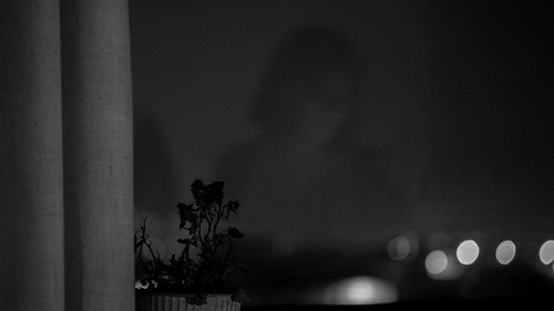 Jaquette Memories of a Window