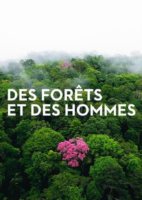 Des Forêts et des Hommes 2011