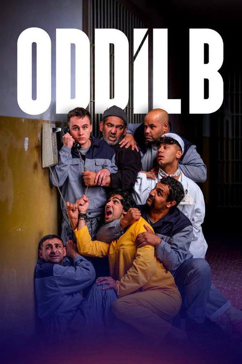Oddíl B