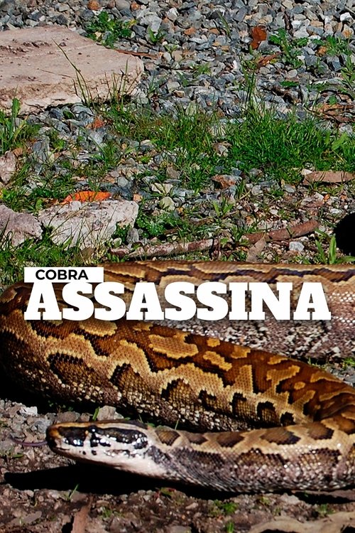 Cobra Assassina