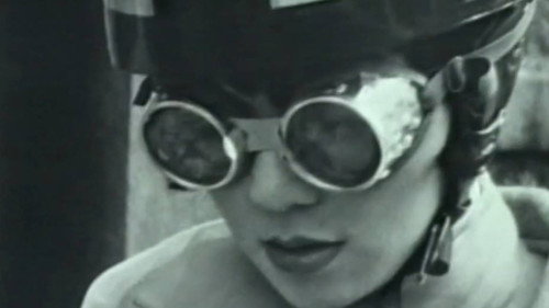 Queen's Polyester Dog