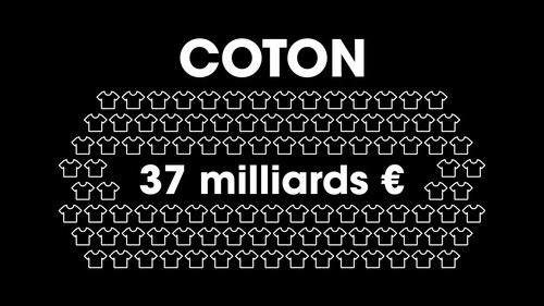 Image Coton : L'envers du décor