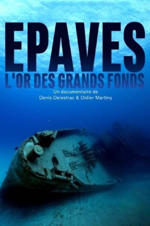 Poster Épaves, l'or des grands fonds 2019