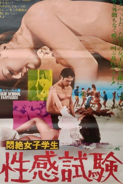 High School Fantasies