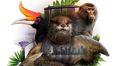 David Attenborough's Wild City
