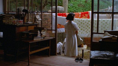 A Brighter Summer Day