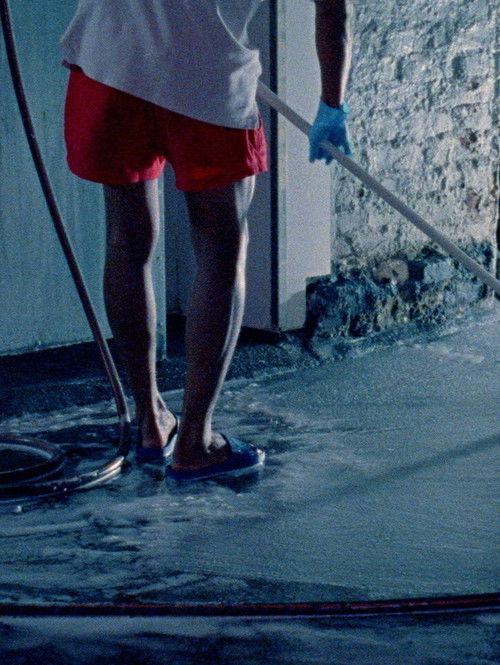 Cartell de Not Enough Hands