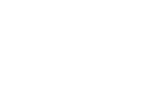 La flor de mi secreto